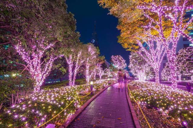 公園樹木亮化：增加城市亮度，凈化城市空氣